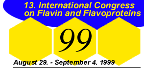 Flavin Congress 1999